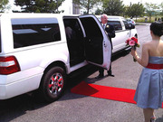 Limousine service offers in Florida for low price last minute !!!