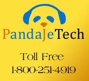 Speed Up Your Pc with Pandaje Virus Removal Helpline;  Dial 18002514919