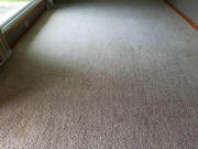 CHOOSING THE BEST CARPET CLEANERS FOR DEODORIZING CARPETS