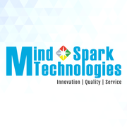 Web development services in Florida,  USA - Mind Spark Technologies