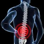 Low Back Pain Physical Therapy Service						