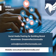 Social Media Posting for Building Brand Awareness- Dreamreflectionmedi