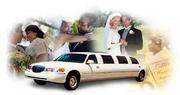 limo service in south florida